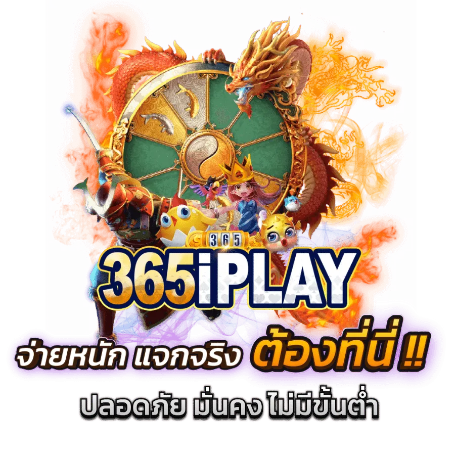 365iplay