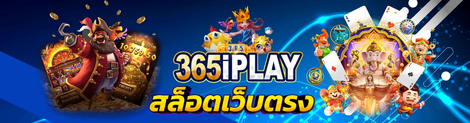 365iplay